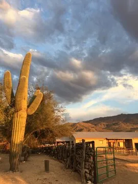 牌力计算与数据化思维