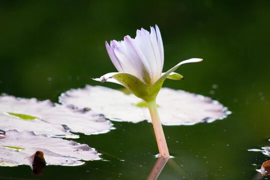 德州扑克在线试玩大厅